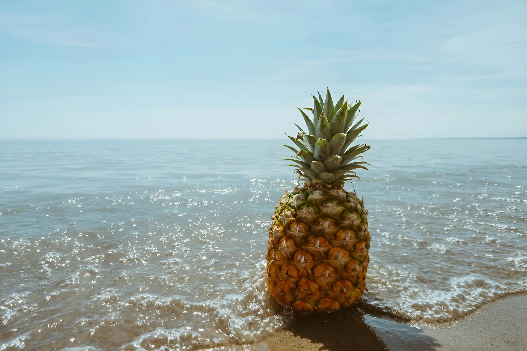 Pineapple on a sandy beach